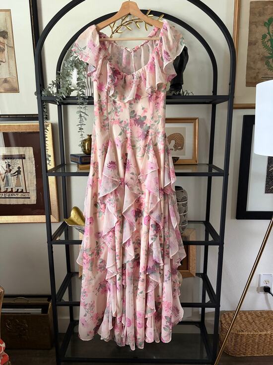 BHLDN Dresses & Skirts - BHLDN Anthropologie Chiffon Maxi Dress Pink Floral Ruffle Bow Back Womens S
